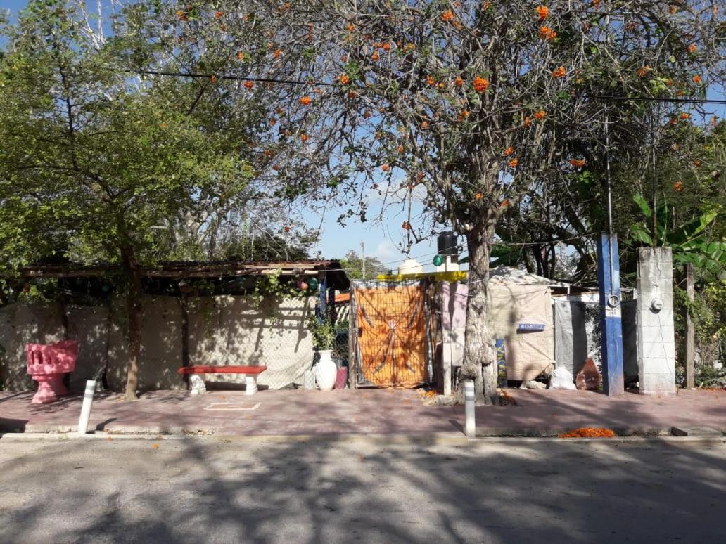Hostal Y Camping Las G Bacalar Luaran gambar